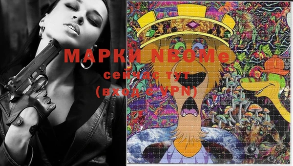 spice Алзамай